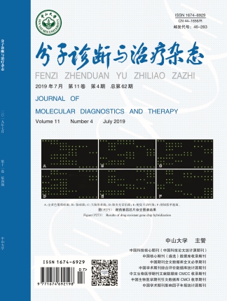 首页| 耀彩网官方网站入口