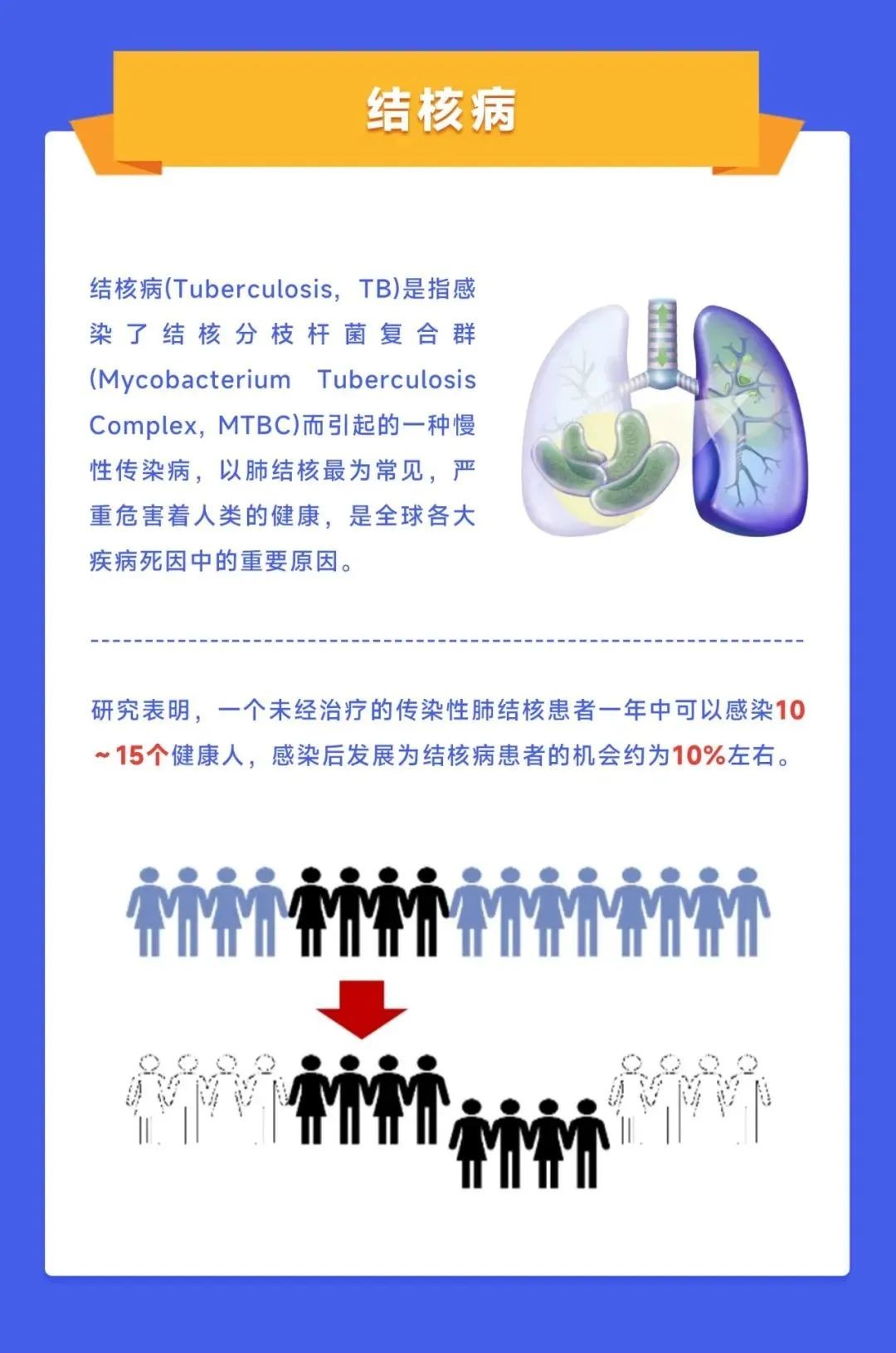 首页| 耀彩网官方网站入口