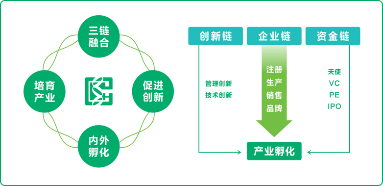 耀彩网式孵化