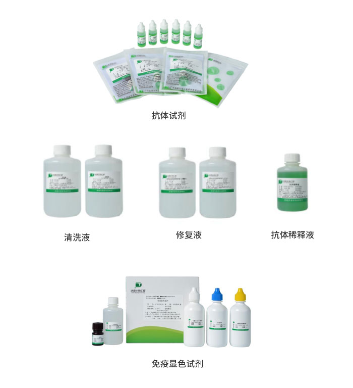 首页| 耀彩网官方网站入口