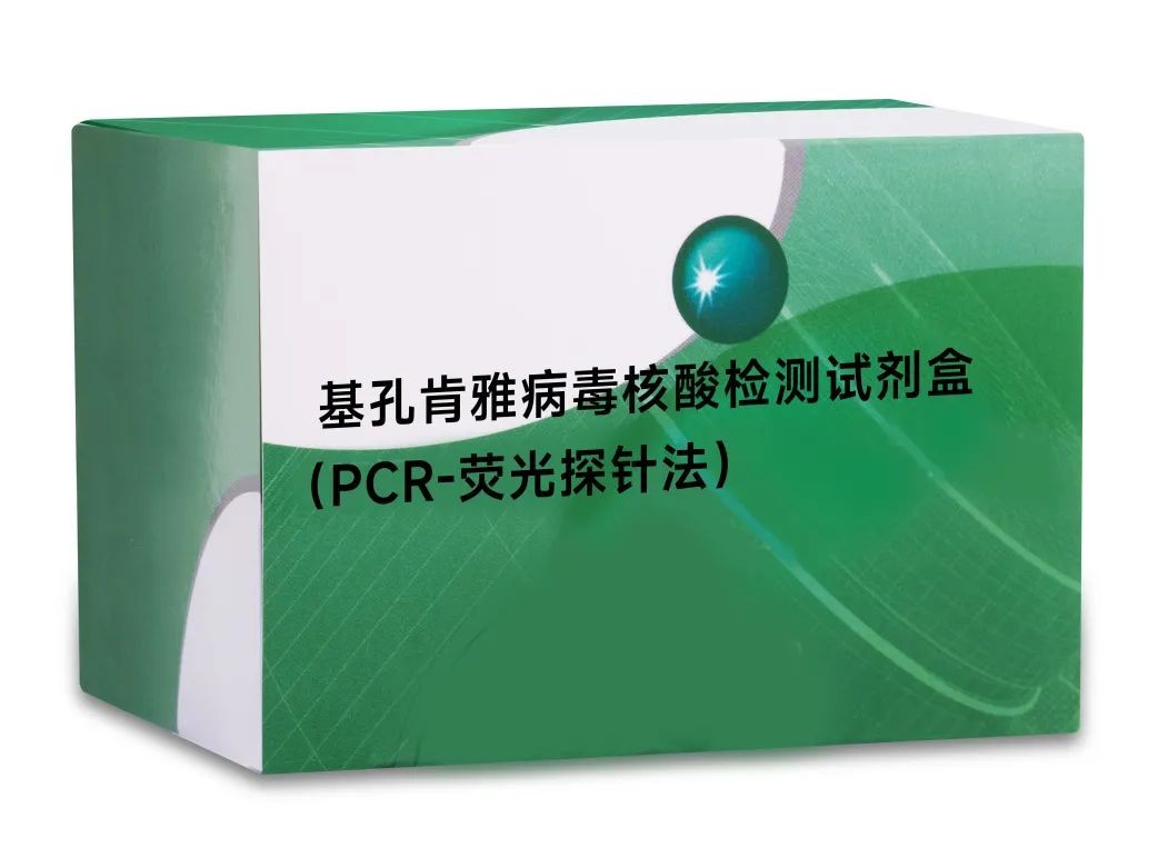 首页| 耀彩网官方网站入口